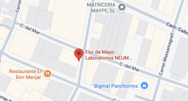 Mapa de Flor de Mayo en Rafelbuñol
